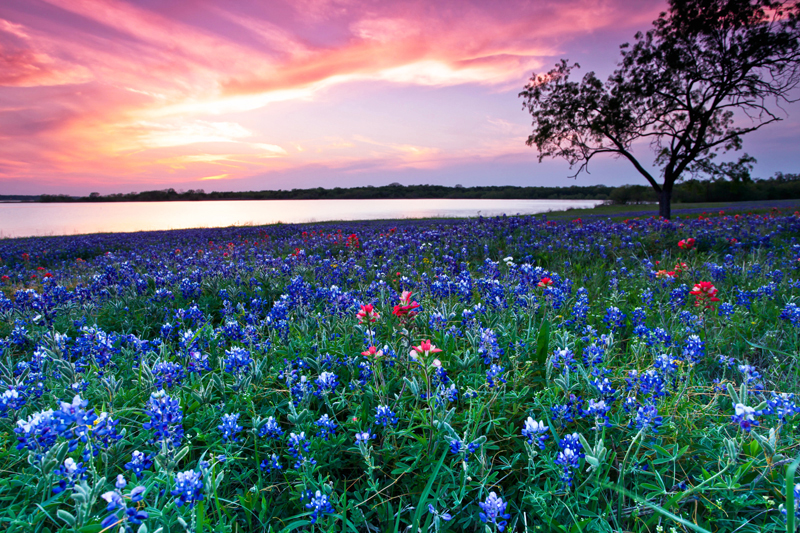 Road Trips Sugar Land Senior Citizens