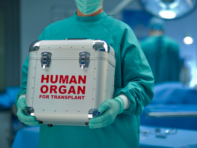 Organ Donor Beaumont Tx