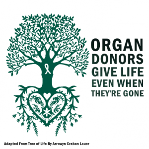 Organ Donor Golden Triangle Seniors