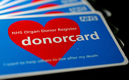 Organ Donors Groves Tx