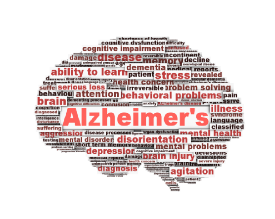 port neches alzheimer's support group, Alzheimer's help SETX, Alzheimer's Golden Triangle