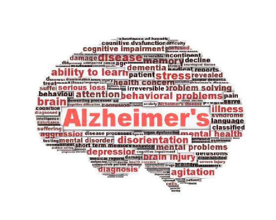 port neches tx alzheimer's support group
