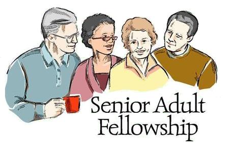 senior fellowship Vidor