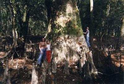 Neches River Adventures Beaumont Senior Activities