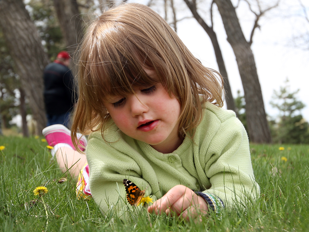 Butterfly release harbor hospice b