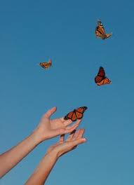 butterfly release habor foundation right