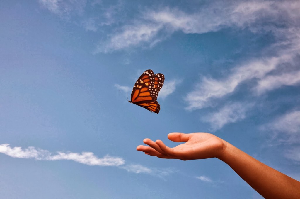 Harbor Foundation Butterfly Release SETX