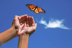 Harbor Foundation Butterfly Release Southeast Texas