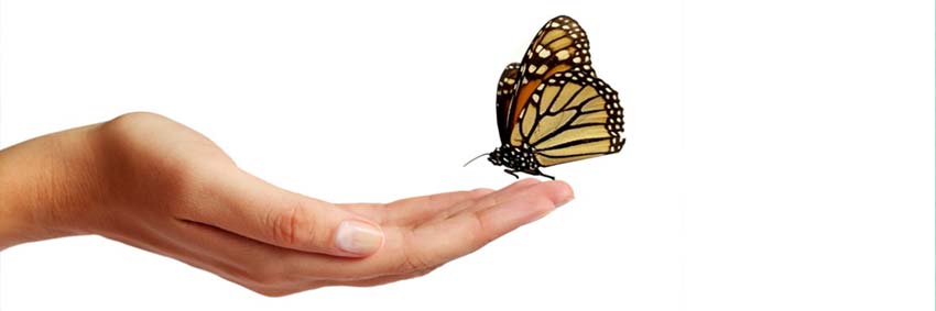 Harbor Foundation Butterfly Release in Beaumont Tx