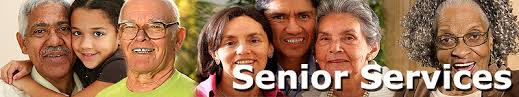 senior education Lumberton Tx d