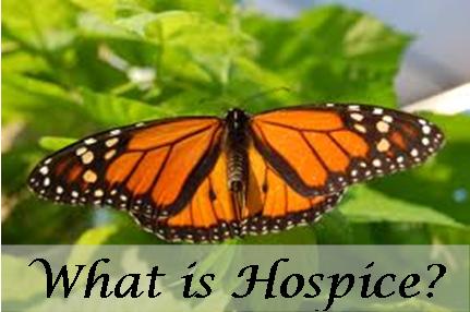 Hospice Care Information Southeast Texas