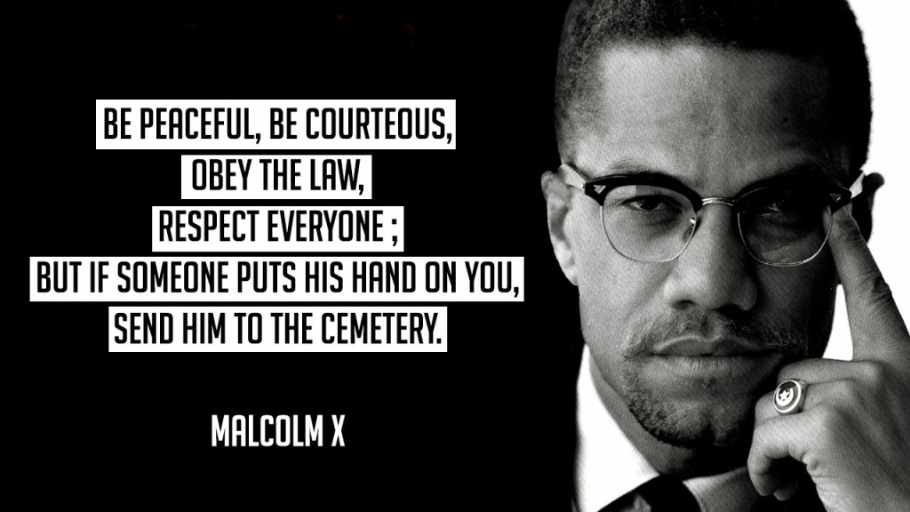 Malcolm X Black History Month