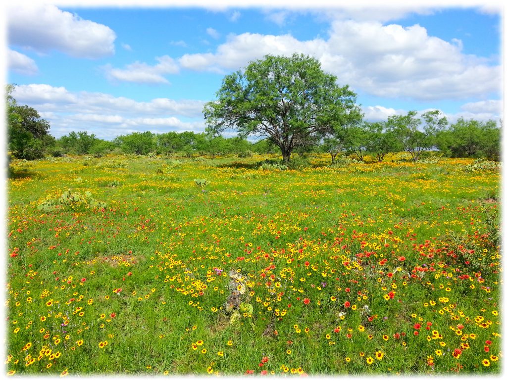 best-hospice-care-of-texas-flowers-print