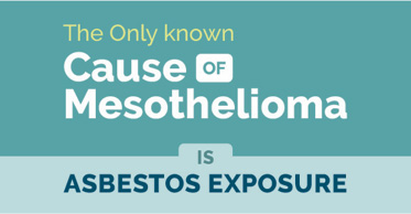 asbestos lawyer Beaumont, asbestos help Beaumont, asbestos care SETX, asbestos health Southeast Texas, asbestos settlement Port Arthur TX, asbestos Orange TX, Asbestos Health Line,