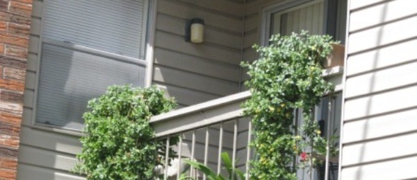 senior housing Orange